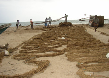 Калутара, Шри-Ланка, фото № 51258 – фотографии Шри-Ланки