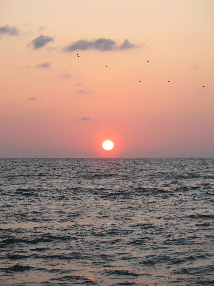 Берувела, Шри-Ланка, фото № 50723 – фотографии Шри-Ланки