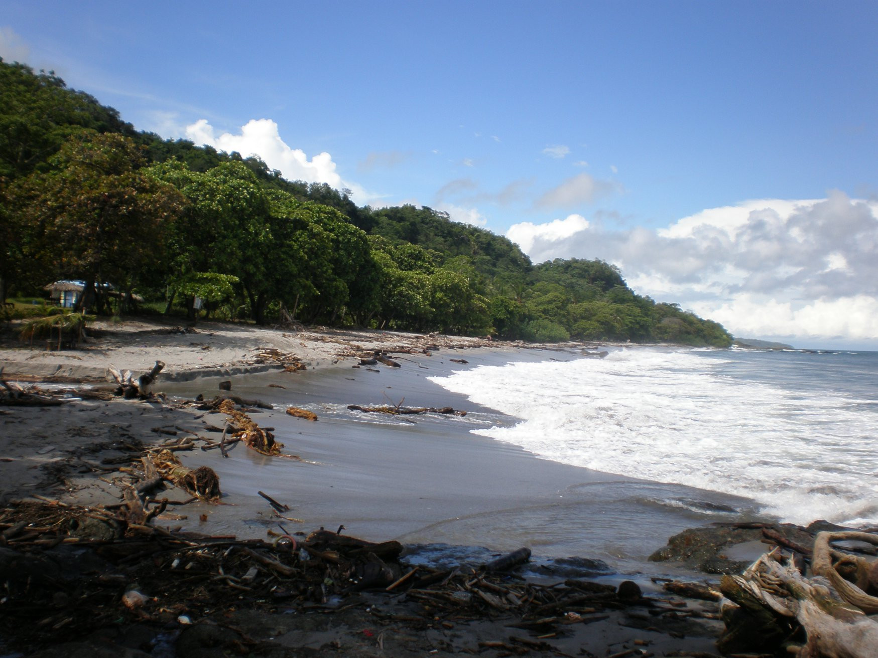 Монтезума, Пунтаренас провинция, Коста-Рика, фото № 40817 – фотографии Коста-Рики