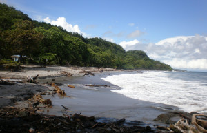 Монтезума, Пунтаренас провинция, Коста-Рика, фото № 40817 – фотографии Коста-Рики