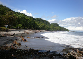 Монтезума, Пунтаренас провинция, Коста-Рика, фото № 40817 – фотографии Коста-Рики