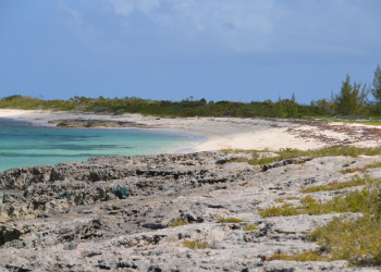 Побережье острова Мидл-Кайкос (Middle Caicos) – фотографии Тёркс и Кайкос