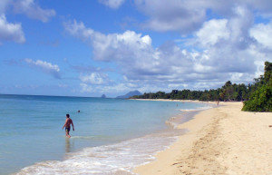 Лес-Салинес, Мартиника – фотографии Мартиники