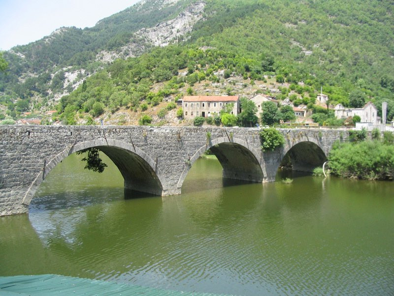 Скадарское озеро Национальный Парк, Черногория, фото № 53872 – фотографии Черногории