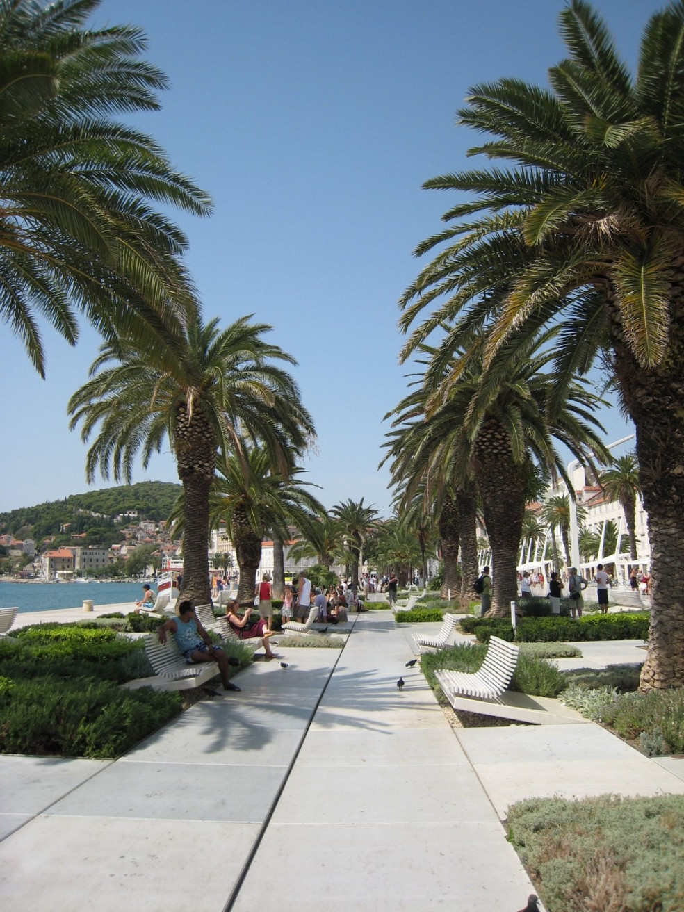 Набережная в Сплит, Хорватия. Фото 4 – фотографии Хорватии