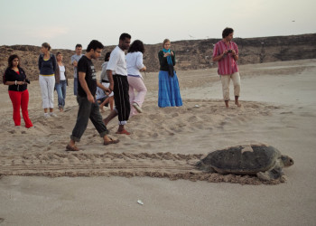 Сур, Оман, фото № 78173 – фотографии Омана