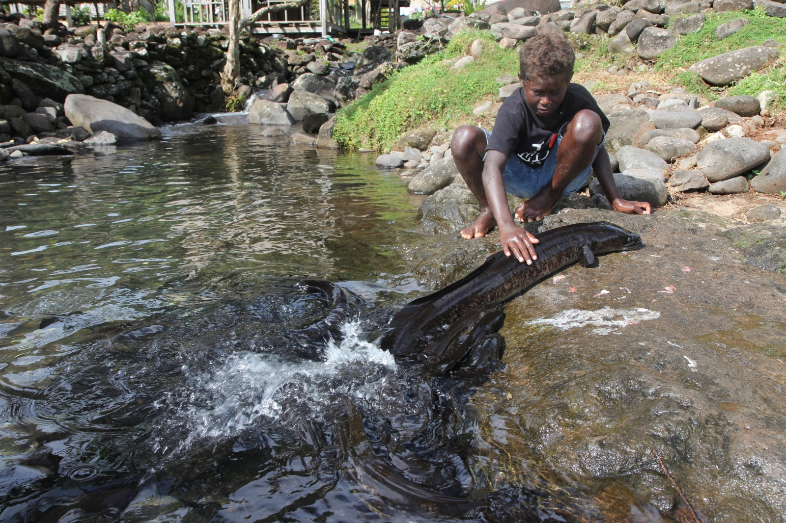 Светловолосый ребенок с Соломоновых Островов. Фото 1 – фотографии Соломоновых Островов