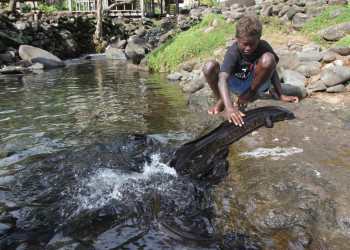 Светловолосый ребенок с Соломоновых Островов. Фото 1 – фотографии Соломоновых Островов