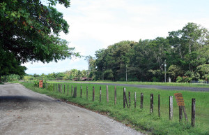 Пуэрто Хименез, Пунтаренас провинция, Коста-Рика, фото № 41106 – фотографии Коста-Рики