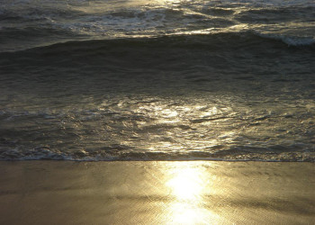 Негомбо, Шри-Ланка, фото № 51914 – фотографии Шри-Ланки