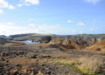 Саванна ископаемых (Savane des petrifications) на юге Мартинике – фотографии Мартиники