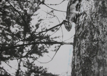 Якутия – фотографии России