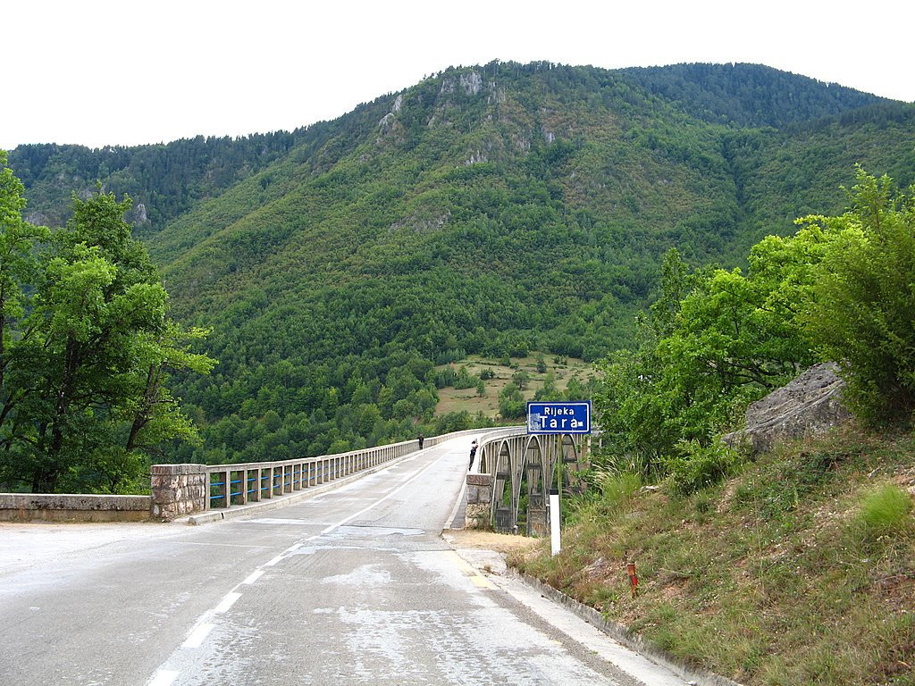 Тара Каньон – фотографии Черногории