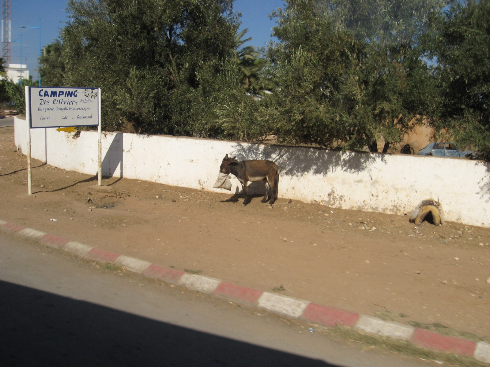 Эссувейра, Марокко, фото № 8842 – фотографии Марокко