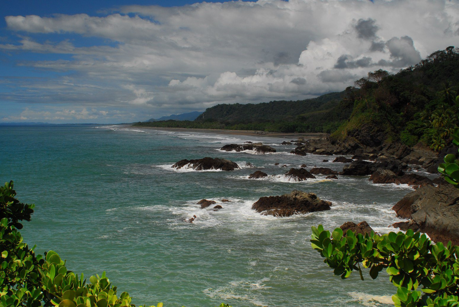 Доминикаль, Пунтаренас провинция, Коста-Рика, фото № 40423 – фотографии Коста-Рики