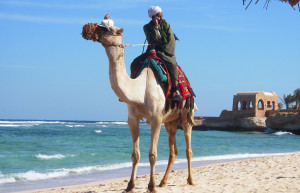 Эль-Кусейр, Египет, фото № 35809 – фотографии Египта