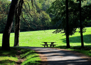 Венский лес в районе Вены – фотографии Австрии