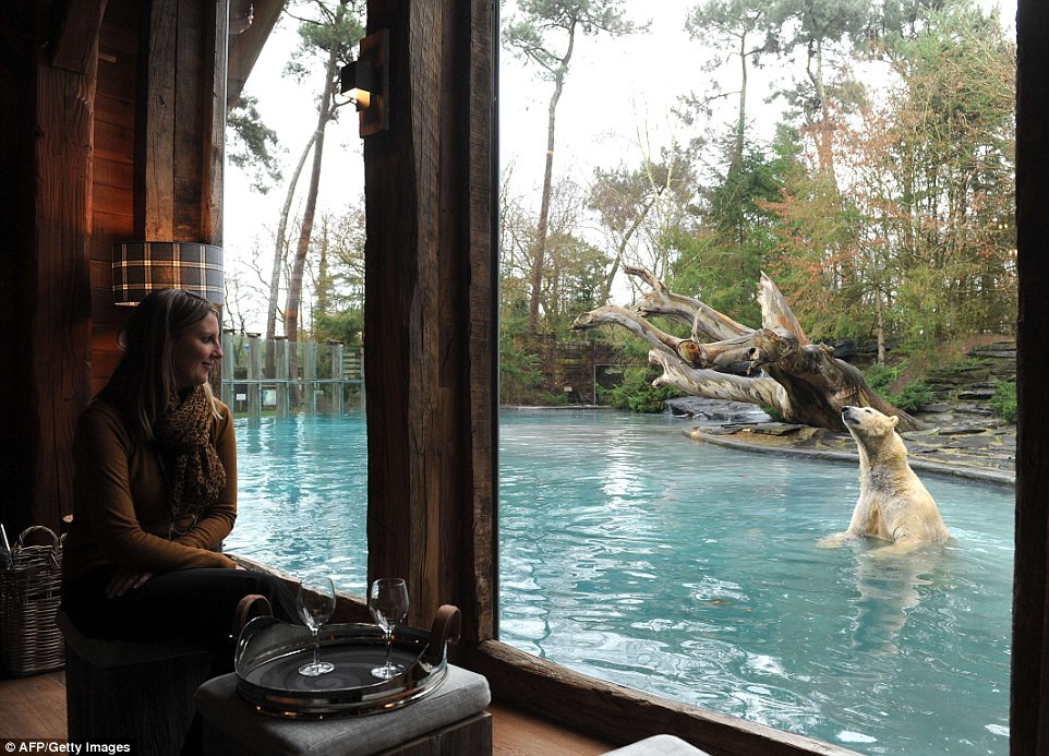 Отель-зоопарк Jamala Wildlife Lodge в Австралии. Фото 4 – фотографии Австралии