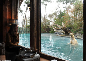 Отель-зоопарк Jamala Wildlife Lodge в Австралии. Фото 4 – фотографии Австралии