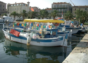 Яхты и катера в Проприано, Франция – фотографии Франции