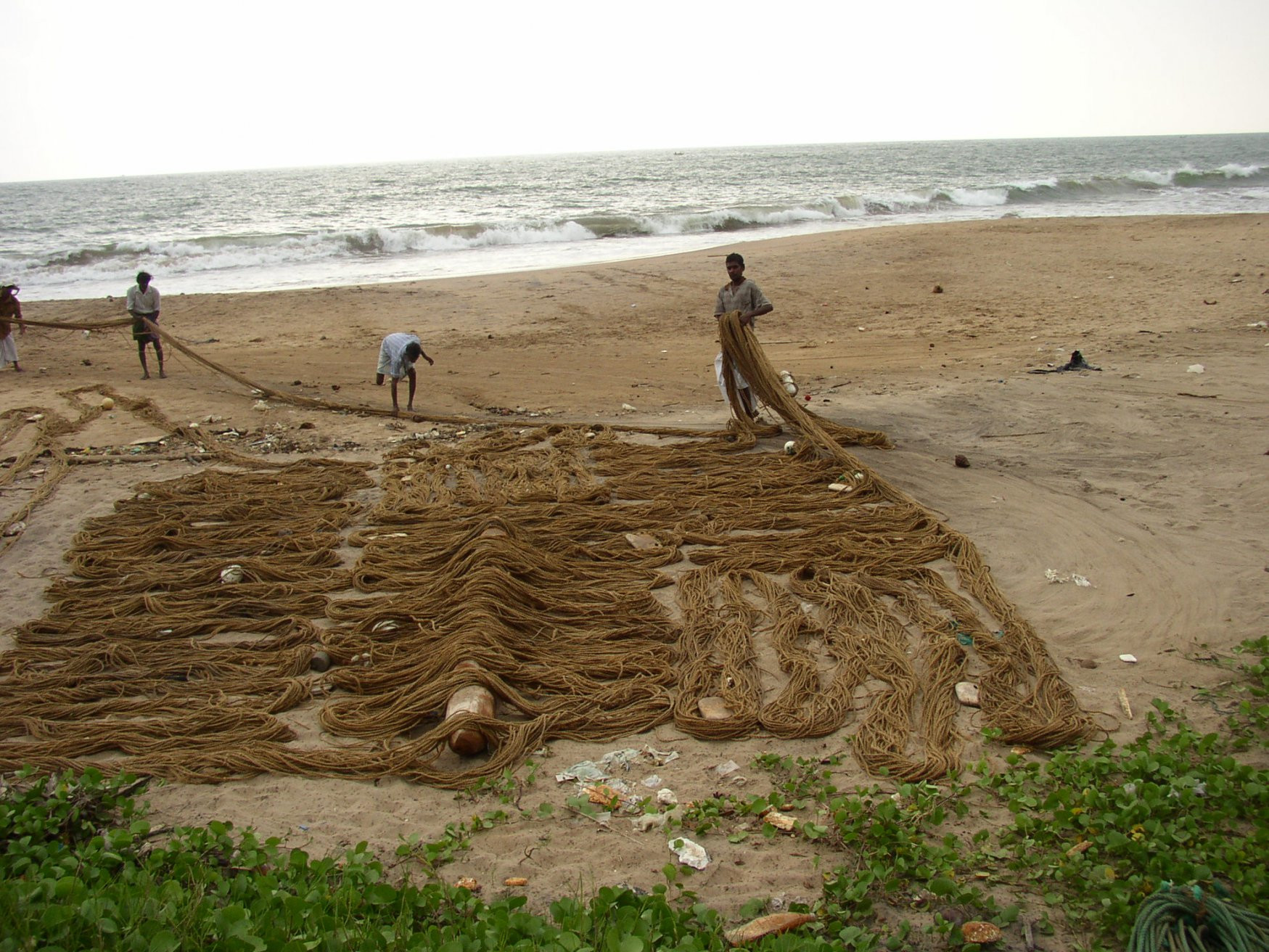 Калутара, Шри-Ланка, фото № 51257 – фотографии Шри-Ланки