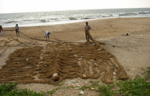 Калутара, Шри-Ланка, фото № 51257 – фотографии Шри-Ланки