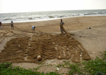 Калутара, Шри-Ланка, фото № 51257 – фотографии Шри-Ланки