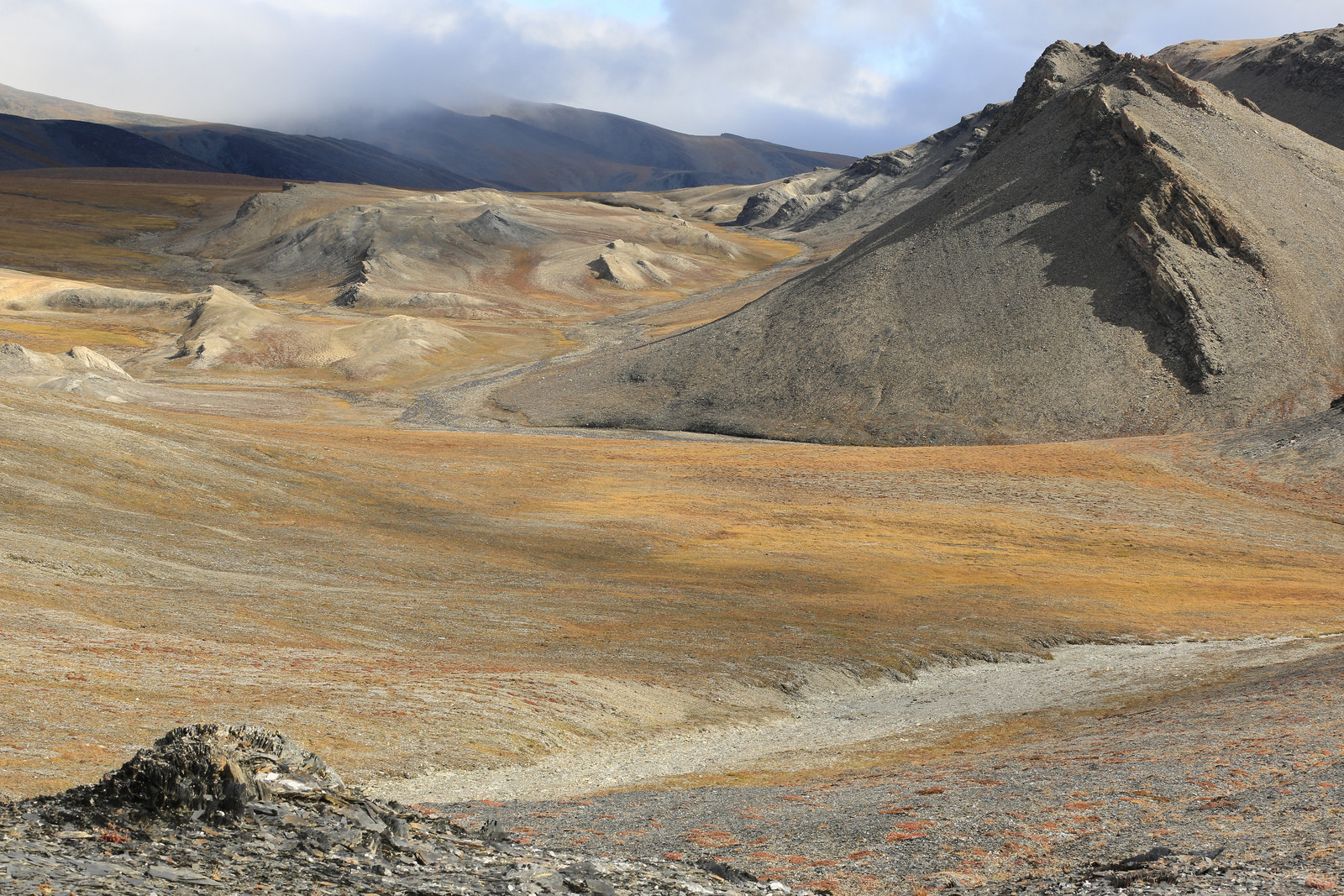 О-в Врангеля, Чукотка, Северный Ледовитый океан – фотографии России