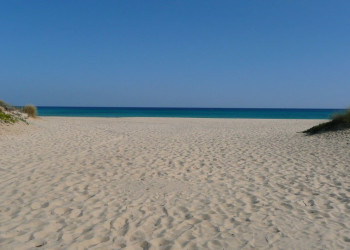 Пляж в Северном Тунисе. Фото 18 – фотографии Туниса