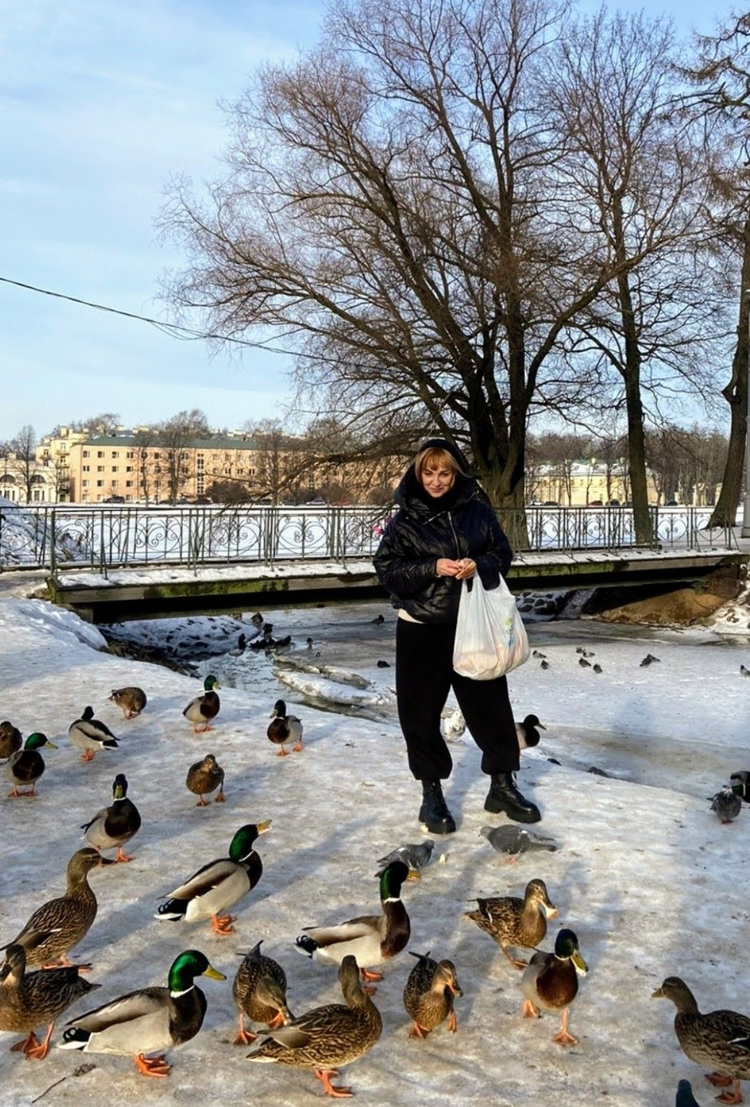 . – фотографии