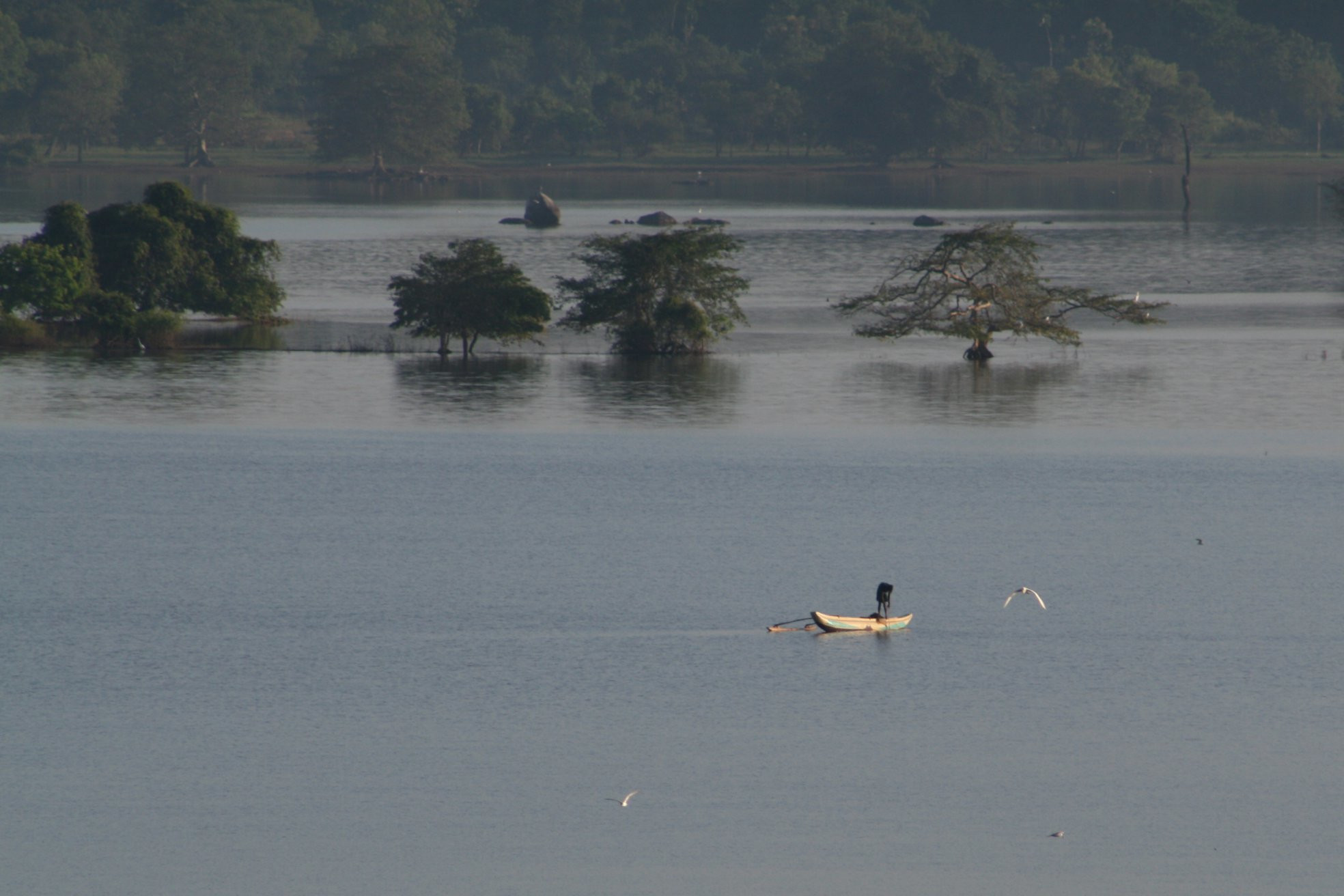 Кандалама, Шри-Ланка, фото № 51295 – фотографии Шри-Ланки