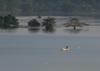 Кандалама, Шри-Ланка, фото № 51295 – фотографии Шри-Ланки