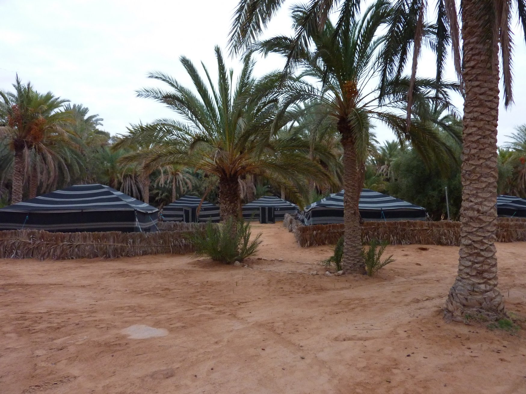 Оазисы в Ксар-Гилан, Тунис. Фото 4 – фотографии Туниса