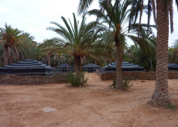 Оазисы в Ксар-Гилан, Тунис. Фото 4 – фотографии Туниса