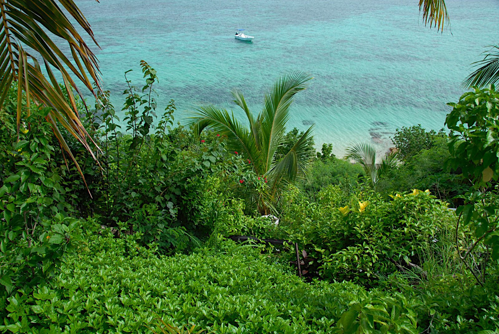 Вадиги остров, Маманука группа островов, Фиджи, фото № 48788 – фотографии Фиджи