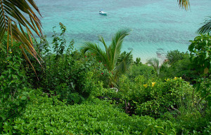 Вадиги остров, Маманука группа островов, Фиджи, фото № 48788 – фотографии Фиджи