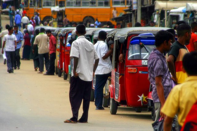 Шри-Ланка, фото № 1137 – фотографии Шри-Ланки