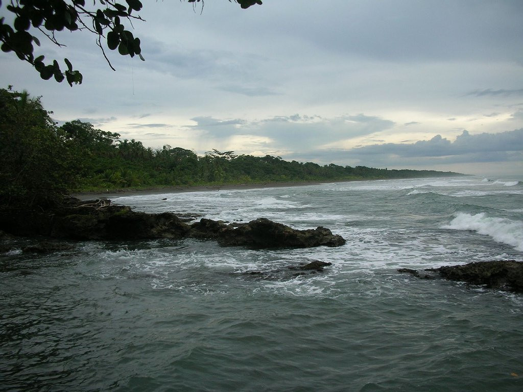 Кауита, Лимон провинция, Коста-Рика, фото № 40034 – фотографии Коста-Рики