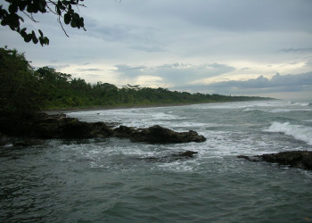 Кауита, Лимон провинция, Коста-Рика, фото № 40034 – фотографии Коста-Рики