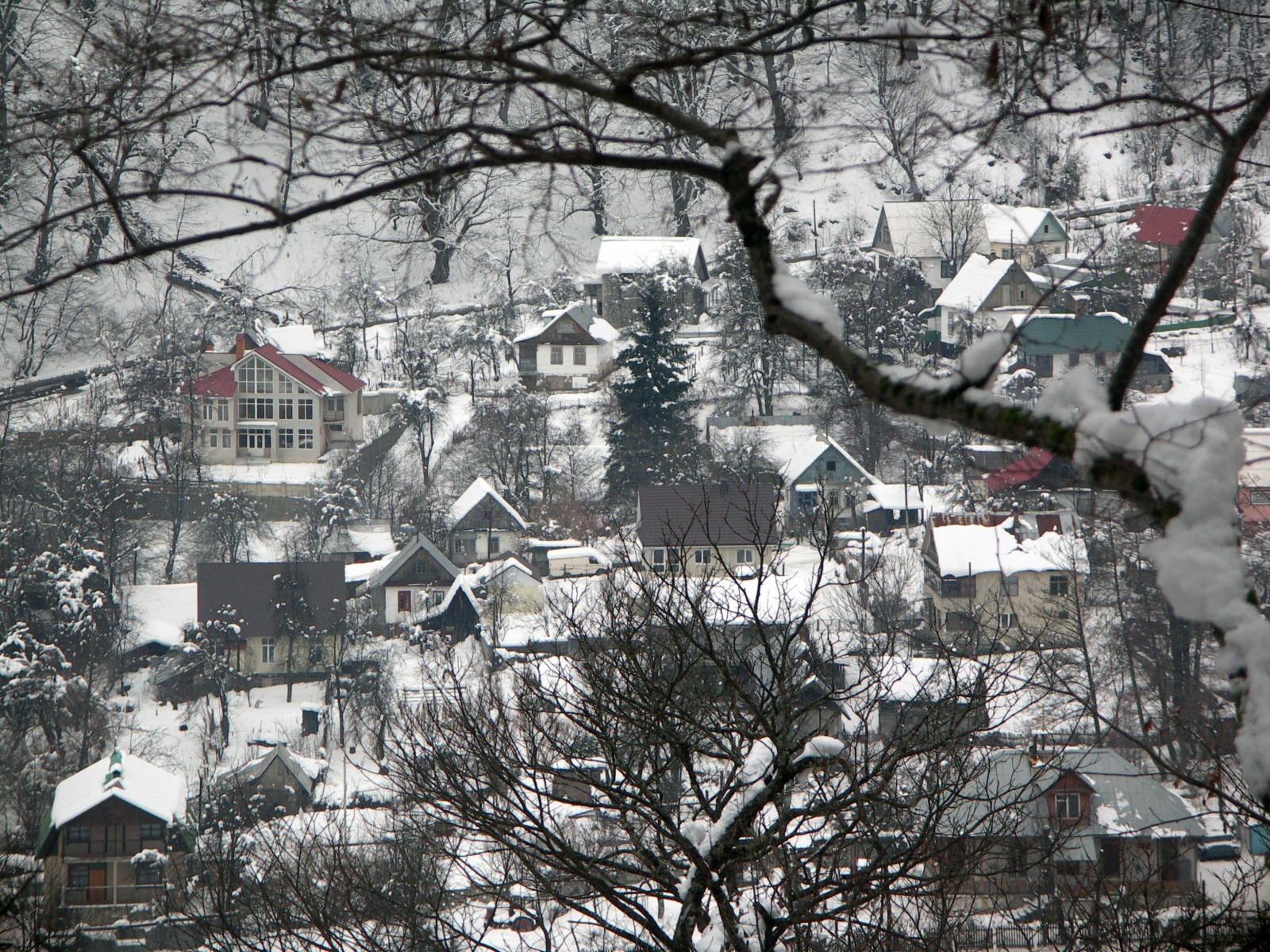 Красная Поляна, Сочи. Фото 16 – фотографии России