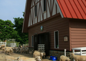 Кобе (Kobe) – фотографии Японии