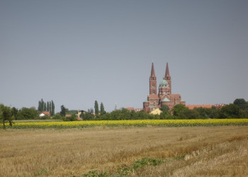 Поле в Славонии, Хорватия. Фото 3 – фотографии Хорватии