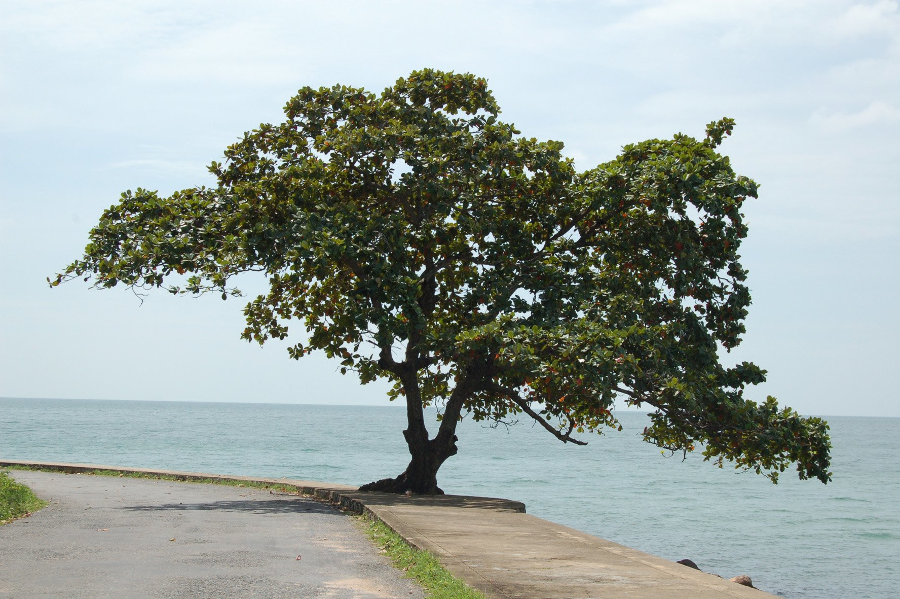 Набережная в Кепе, Камбоджа. Фото 4 – фотографии Камбоджи