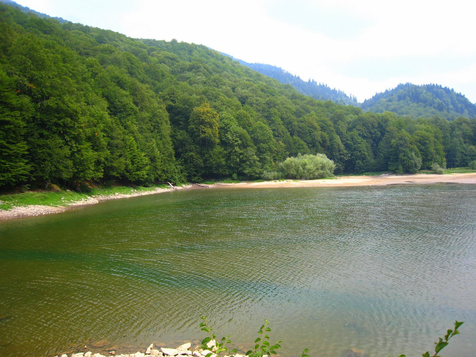 Озеро в Национальном парке, Черногория. Фото 11 – фотографии Черногории