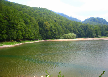 Озеро в Национальном парке, Черногория. Фото 11 – фотографии Черногории