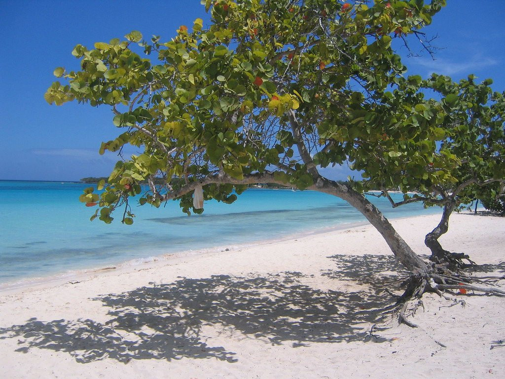 Ольгин на кубе Ольгин на кубе