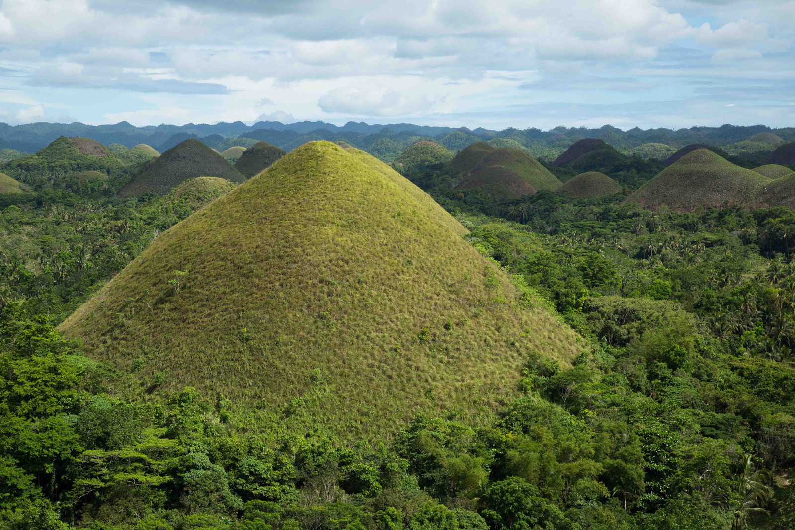 Шоколадные холмы на острове Бохоль – фотографии Филиппин