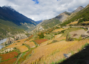 Аннапурна заповедник, Непал, фото № 78941 – фотографии Непала