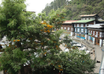 Трашиганг, Бутан, фото № 75778 – фотографии Бутана