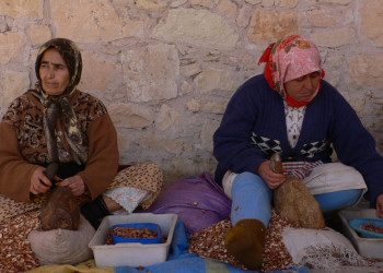 Эссувейра, Марокко, фото № 8811 – фотографии Марокко